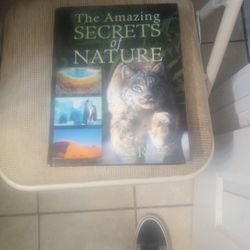 The Amazing Secrets Of Nature