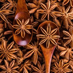 Star Anise Tree