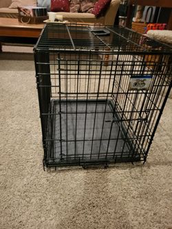 Pet Lodge collapsible black metal dog crate with front hinged door and plastic bottom tray, approx 20x24x17"