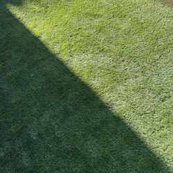 Jardinero & Lanw Gardener  Clen Up Istalaction De Gras Artificial Wids Cleaning 