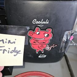 Cooluli 4 Liter Mini Fridge