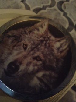Bradford Exchange collector plate NEW IN BOX