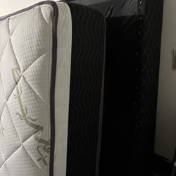 Queen Bed 