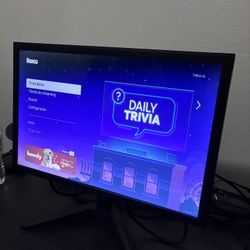 Portable Monitor 19in 