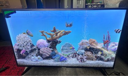 Hisense 40” smart tv (corner screen broken)