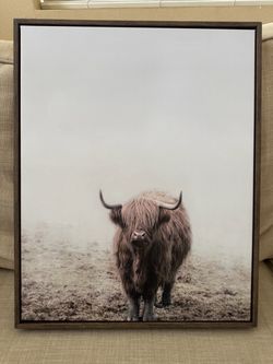 Threshold Highland Cow Framed Canvas 20” x 16”