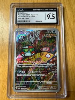 Pokémon graded card slabs