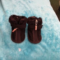 Dog Shoes