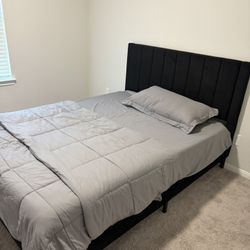 Queen Bed With Mattress
