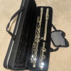 Brand New Never Used Flute NEED GONE