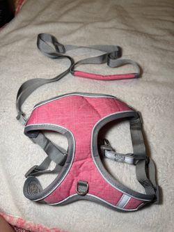 Pink Dog Harness and Leash Set