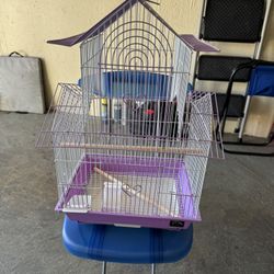 Bird Cage