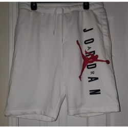 Nike Air Jordan Essential Fleece Shorts
Men Size L 