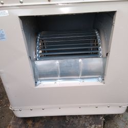 Swamp Cooler Champion 4600 Cfm