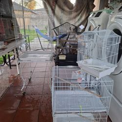 BIRD CAGES DIFERENT SIZES DIFERENT PRICE very good condition