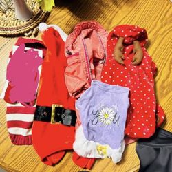 Small Dog Clothes