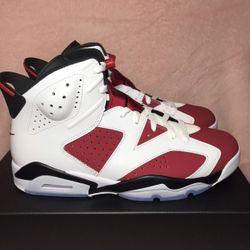 Jordan 6s Carmines 