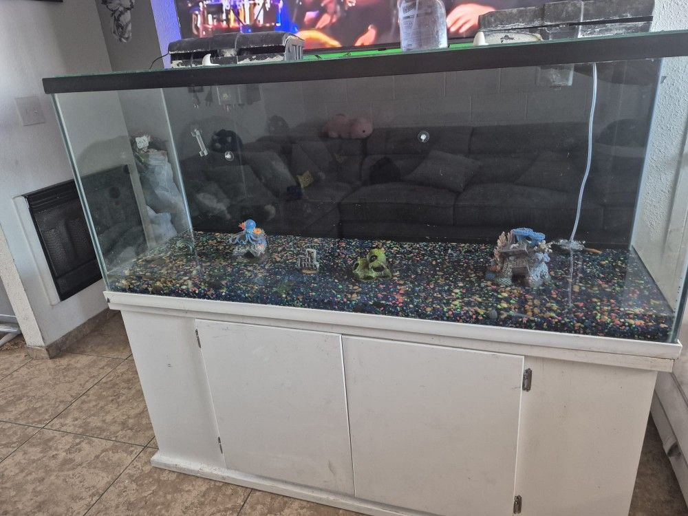 Fish Tank