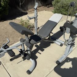Workout Bench