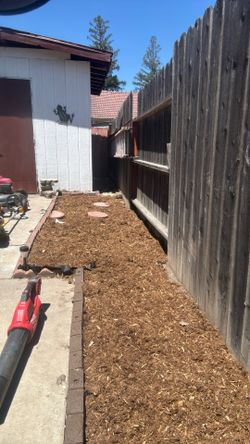 Western red cedar mulch