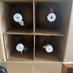 1 gallon glass bottles