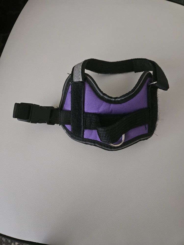 Dog Harness's & Collars
