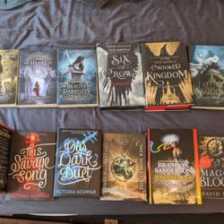 Fantasy/Young adult Novel Books