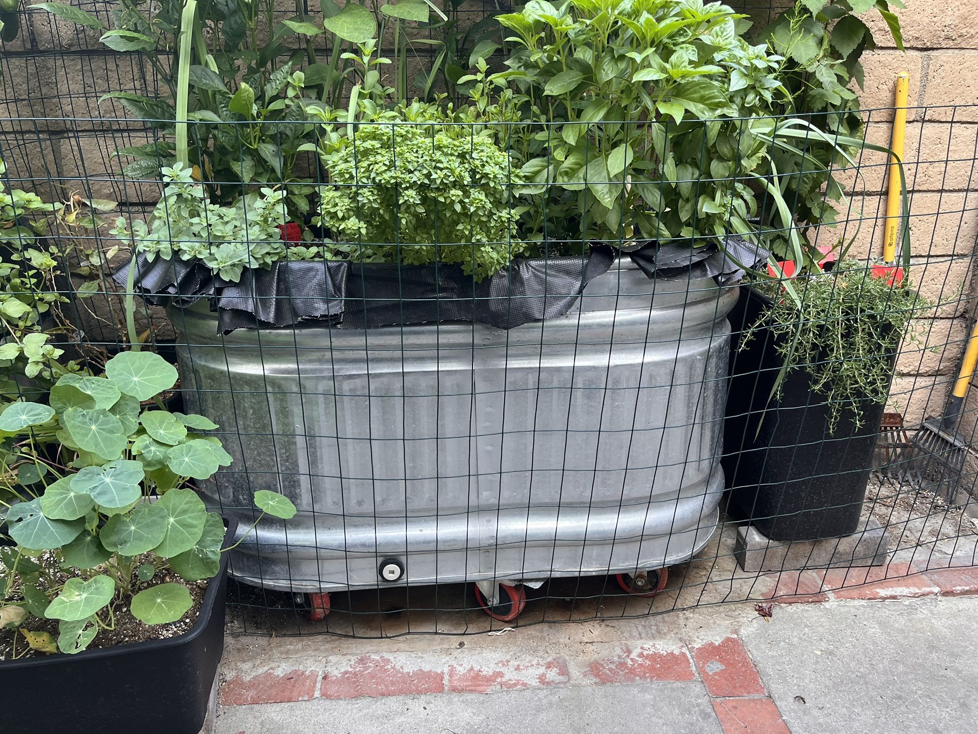 Behlen COUNTRY Galvanized steel Farm Tubs/ Raise Garden Bed