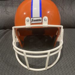 Florida Gator Display Helmet 