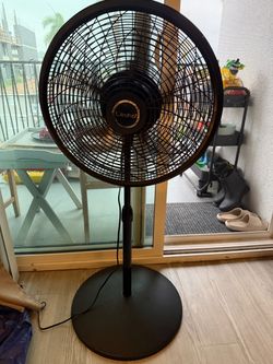 Lasko Black Pedestal Standing Fan