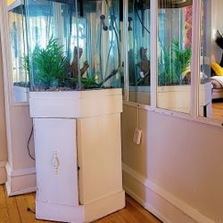 30 Gallon Fish Tank 