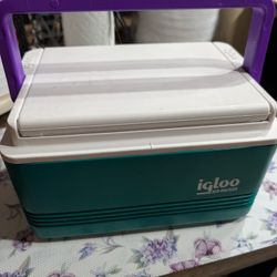 Igloo Polar Six Cooler Teal W/ Purple Handle Holds 6-Pack Made In USA 