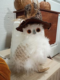 Super cute Halloween Owl