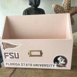 Mailbox FSU Pink