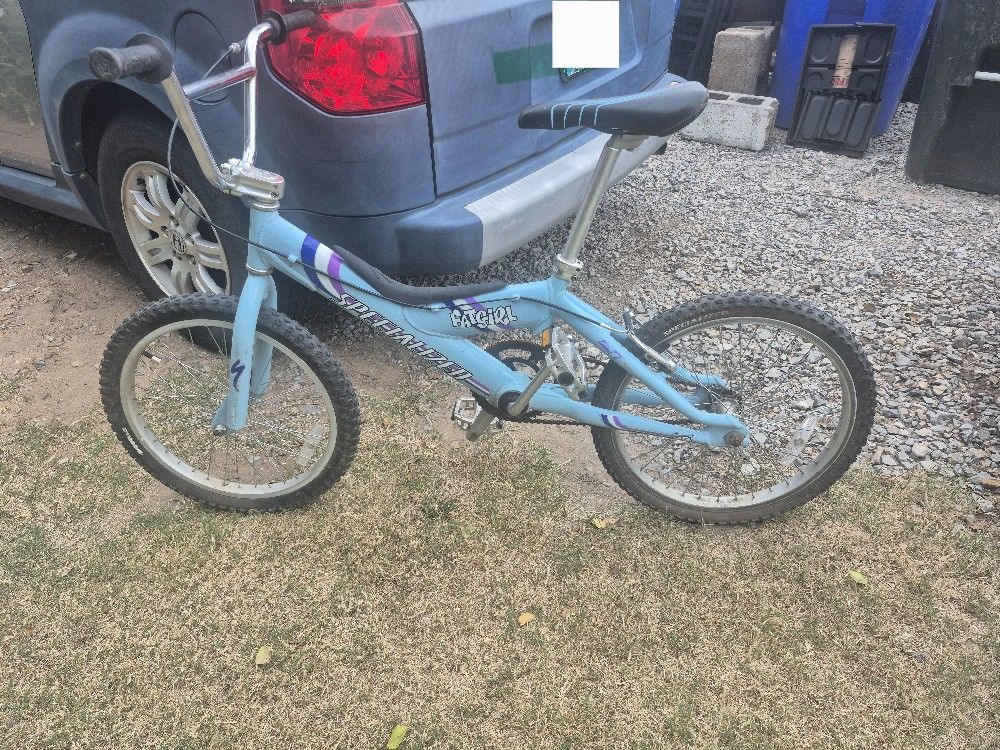 20 Inch Specialized Phat Girl Bicycle