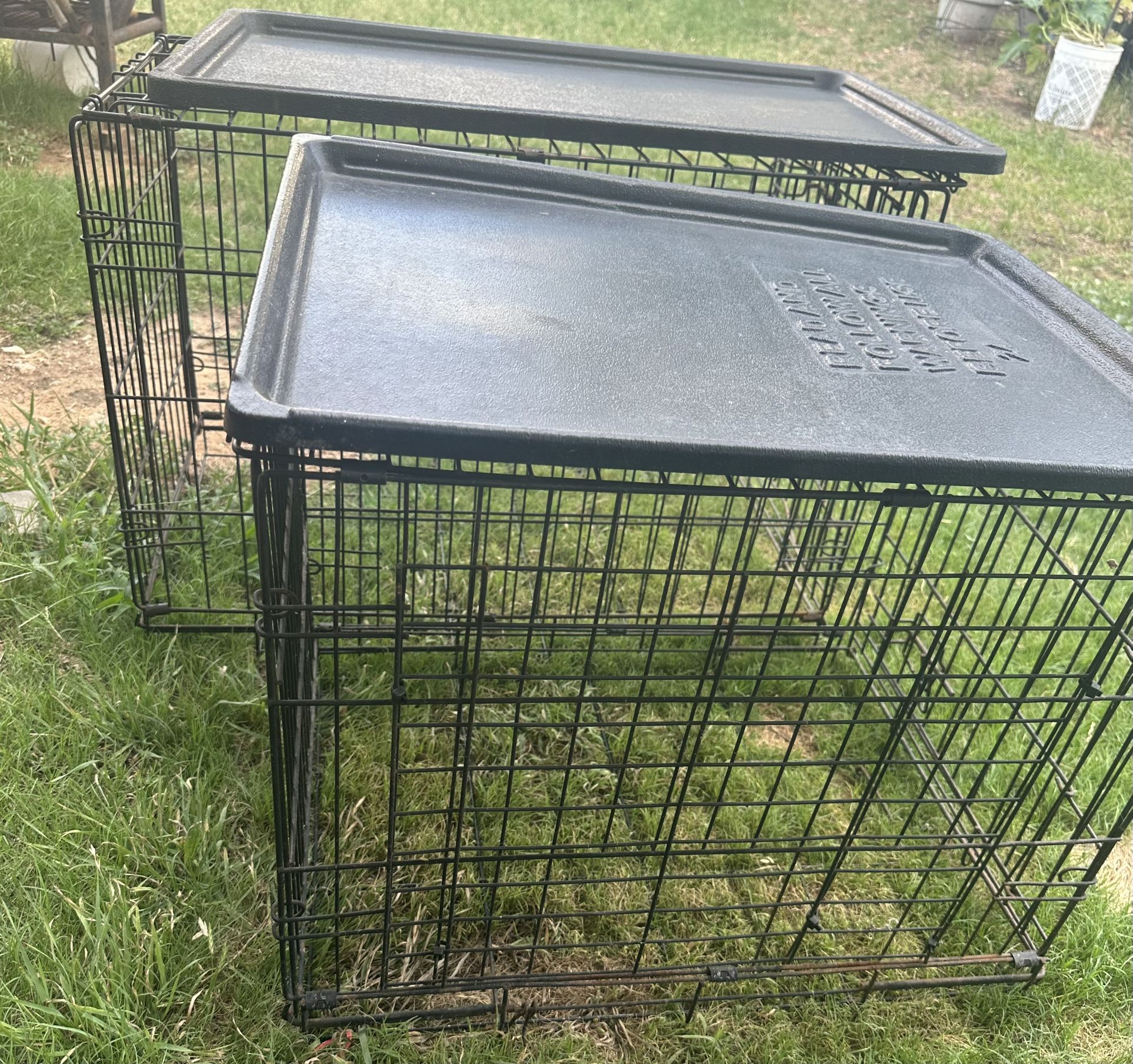 Dog Crate