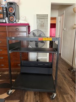 Entertainment storage