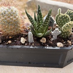 Coffin Shaped Planter & Accessories *Read Description*