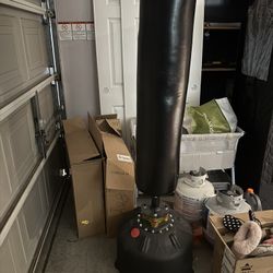 Standing Punching Bag
