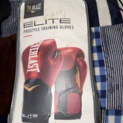 Everlast