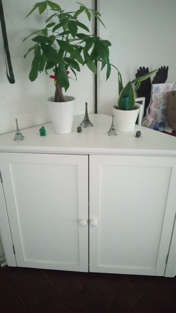 Corner Cabinet TV Stand With Shelf