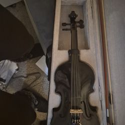 Violin 🎻 and case