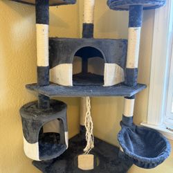 Multilevel Cat Tree 