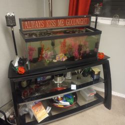 Pretty 15 Gallon Aquarium 