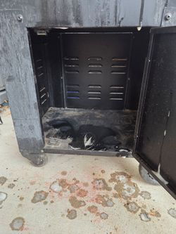 Treager smoker.