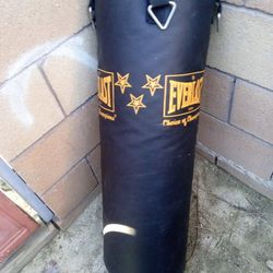 Punching Bag