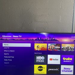 43” 4K Ultra High Definition Smart Tv With Roku 