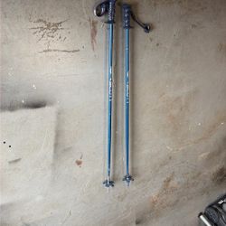 Ski Poles