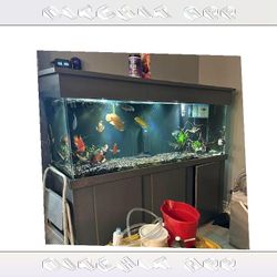 Top-Grade Aquarium Setup - Premium Quality Standard yeah page