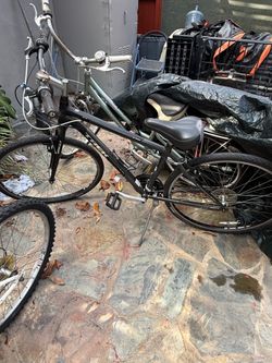 Trek Verve 1